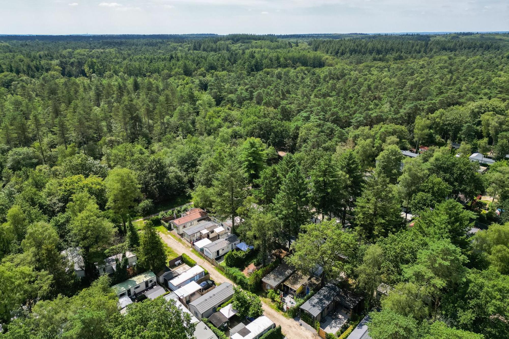 Veluwe Hoenderloo Luxury Chalet With Private Sauna And Hot Tub - Swimming Pool Tennis Court Supermarket Bowling Alley Theatre And Entertainment For Children المظهر الخارجي الصورة